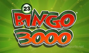 bk8s Bingo 3000